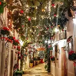 Annas Trulli Paradise-alberobello