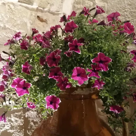 Annas Trulli Paradise-alberobello Дом отдыха *
